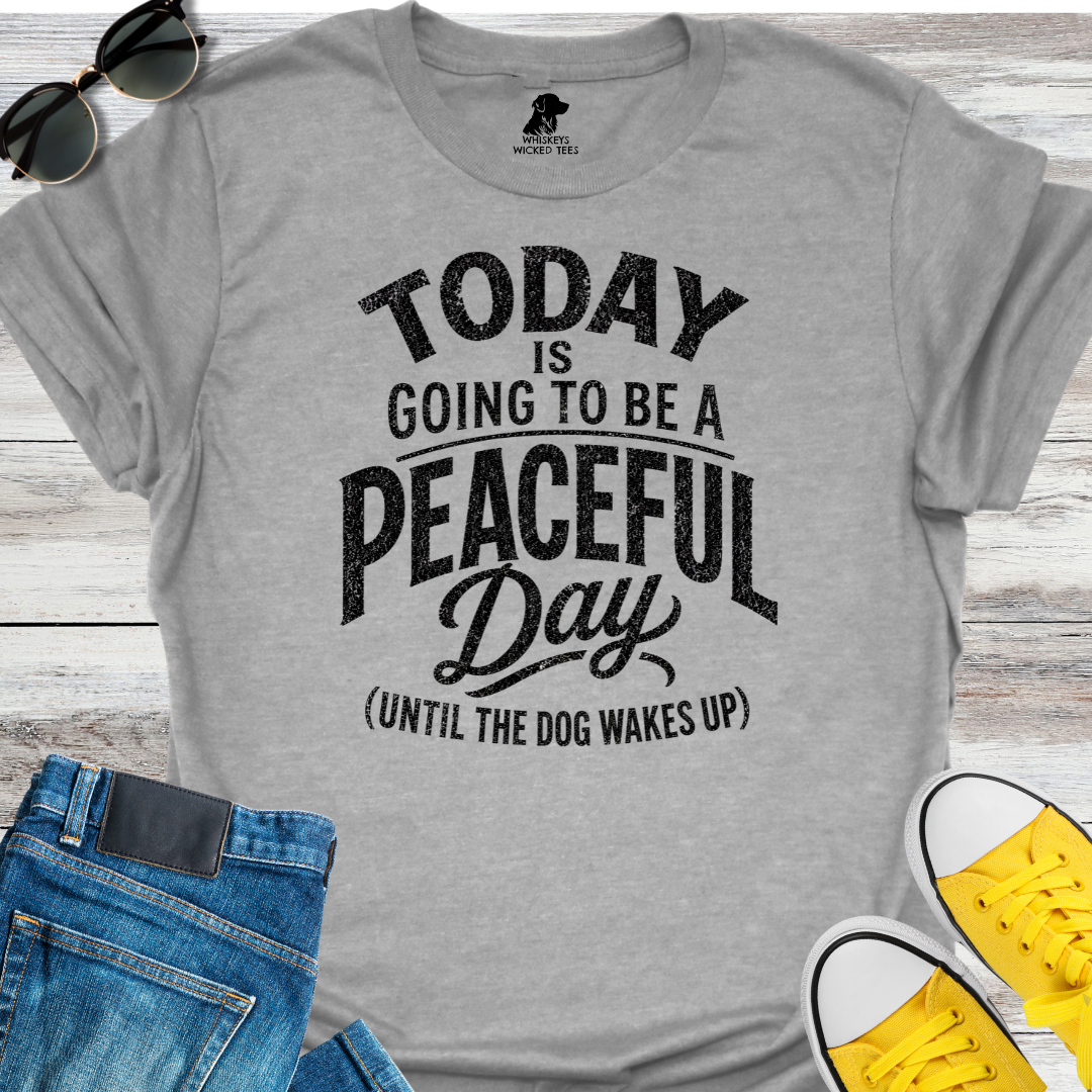 Today I Going To Be A Peaceful Day...  T-shirt