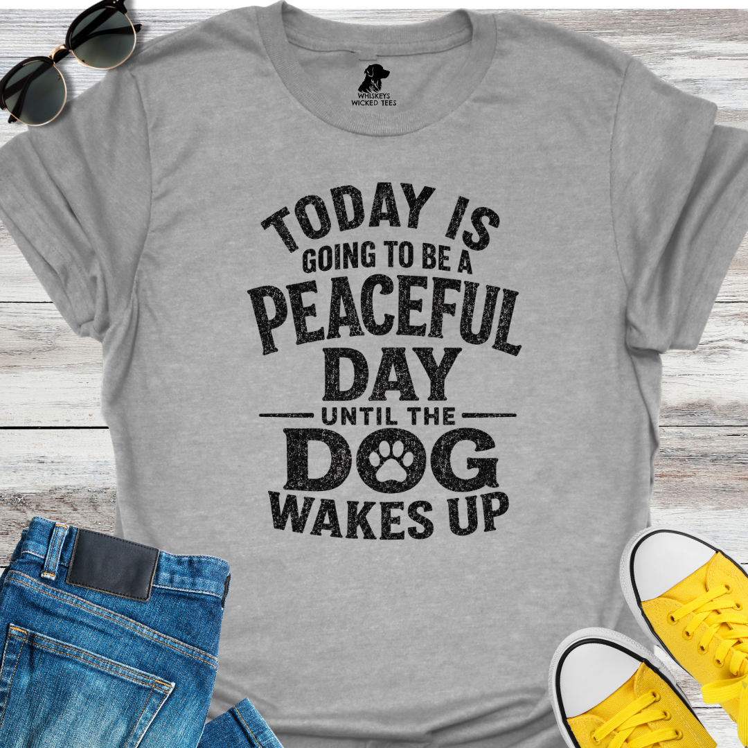 Today Is Going To Be A Peace day....  T-shirt